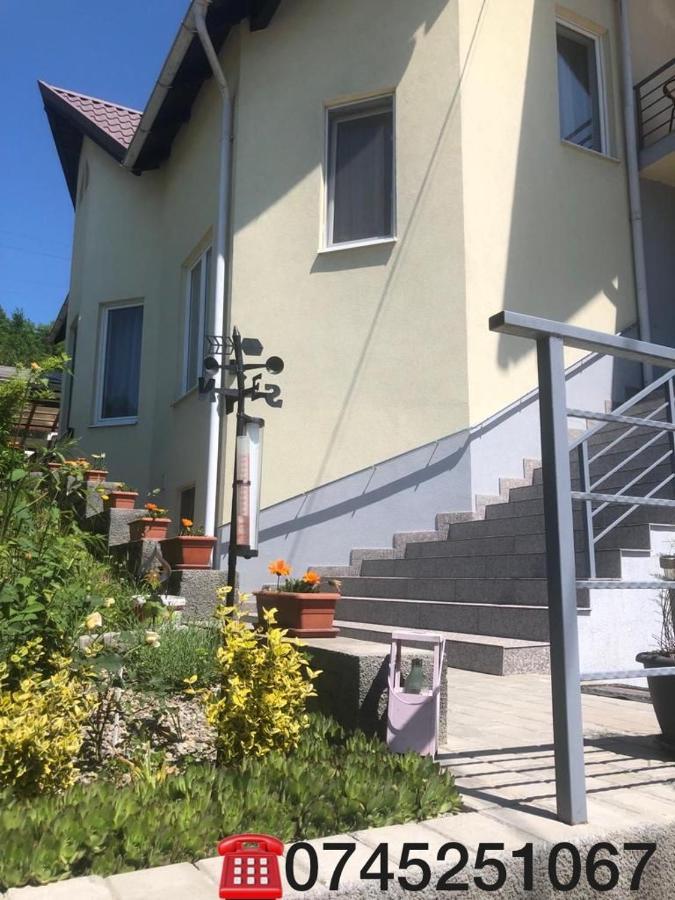 Casa Alessias Hotel Viseu de Sus Bagian luar foto