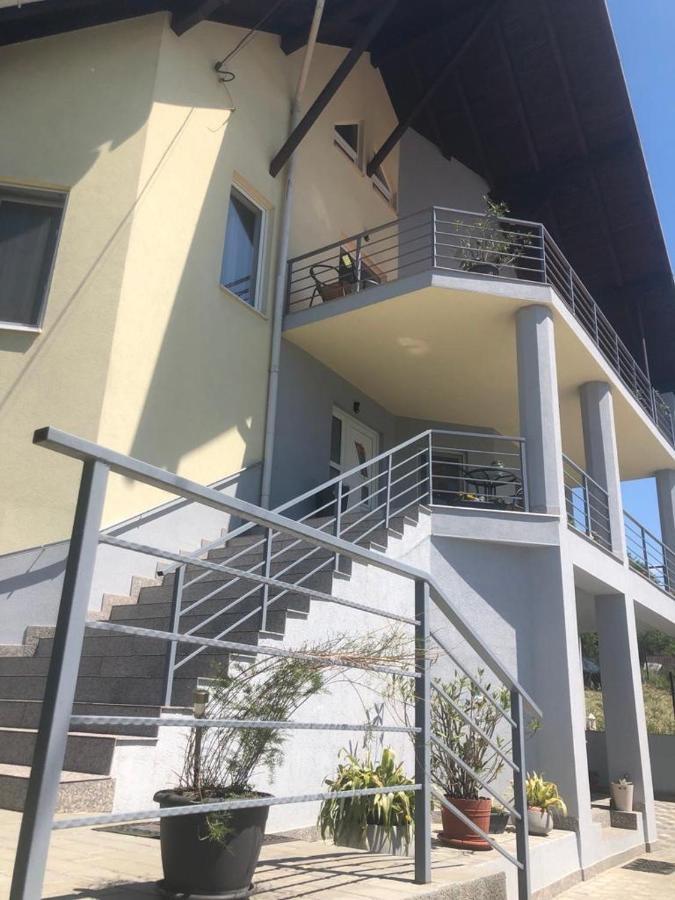 Casa Alessias Hotel Viseu de Sus Bagian luar foto