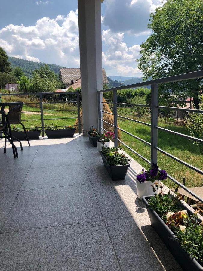 Casa Alessias Hotel Viseu de Sus Bagian luar foto